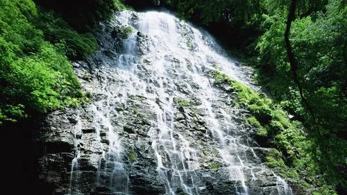 高性能高精度电子